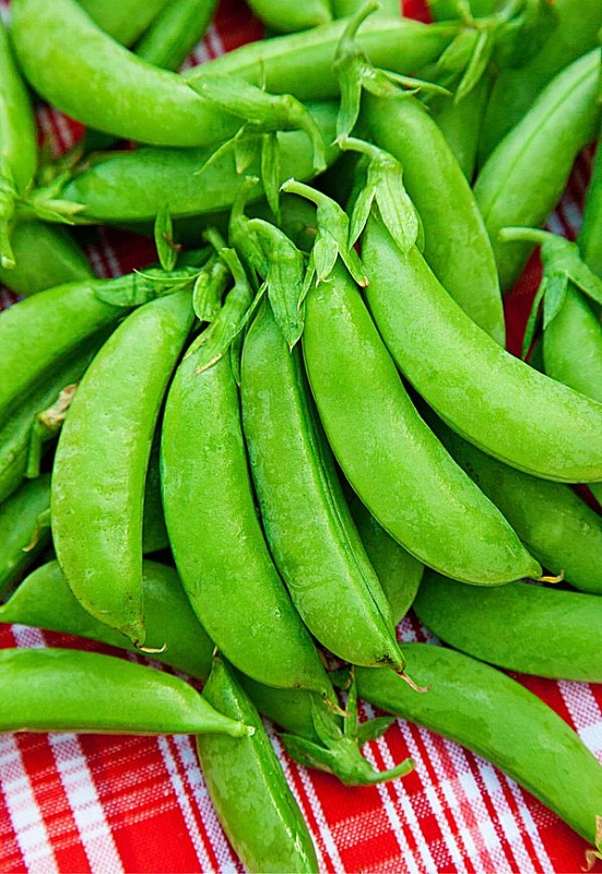 Горох Амброзия овощной 10 гр цв.п.